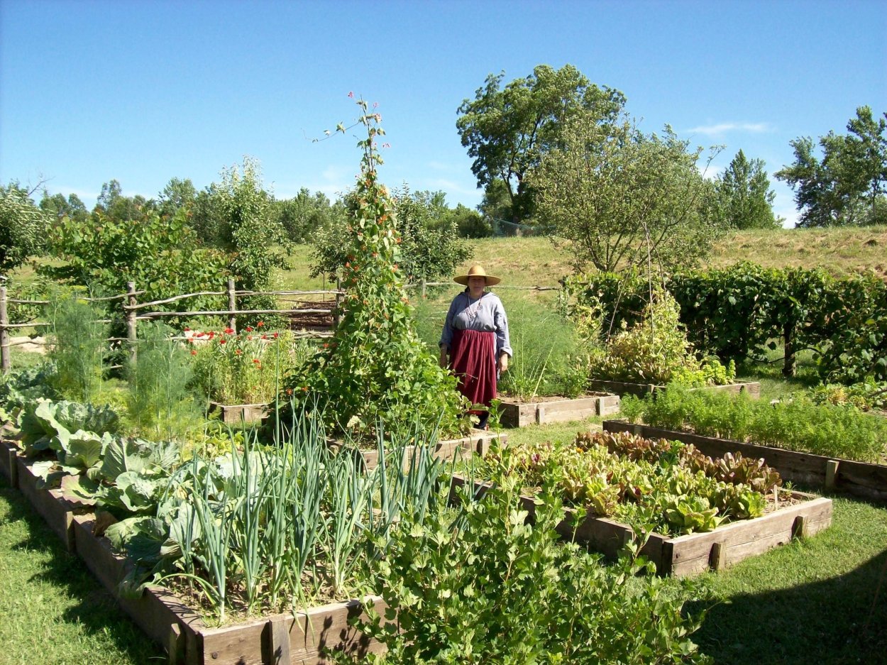 Сад и огород в деревне