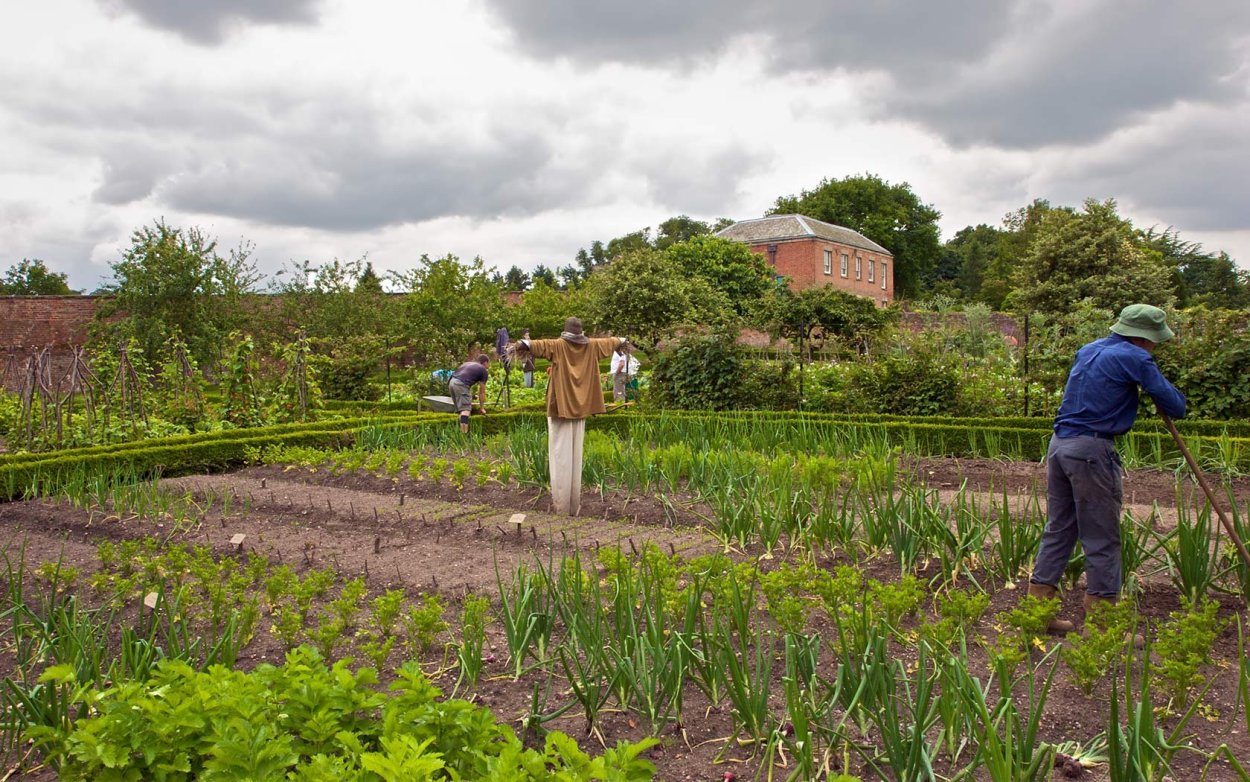 Огородик Англия