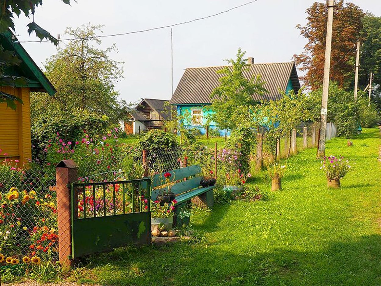 Овощи на грядке