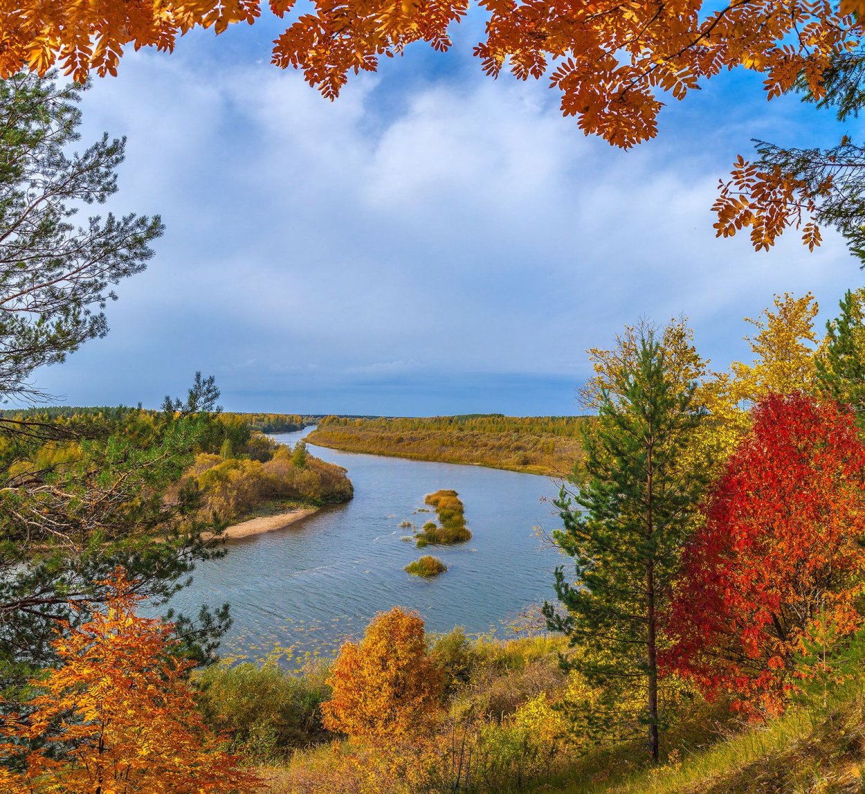 Рамонь Воронежской области осень
