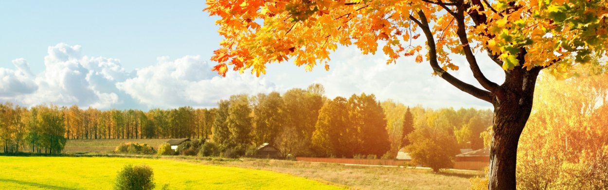 Удивительная осень