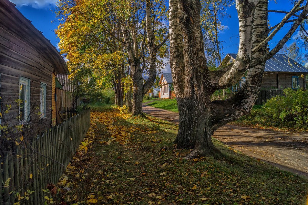 Река в осеннем лесу