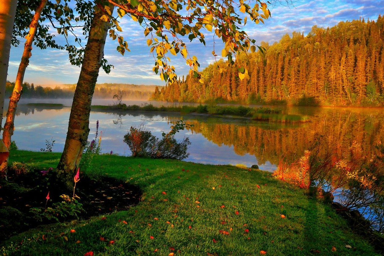 Осенний пейзаж с кленом