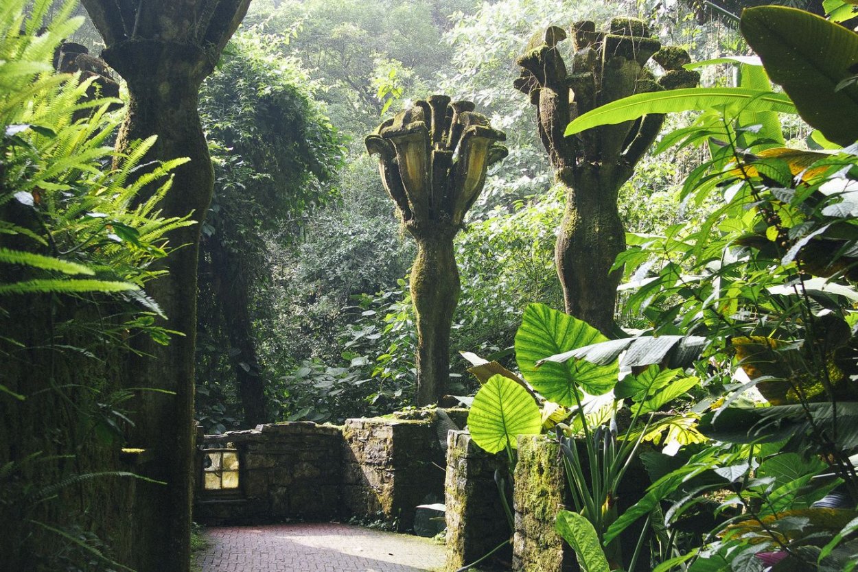 Лакандонские джунгли