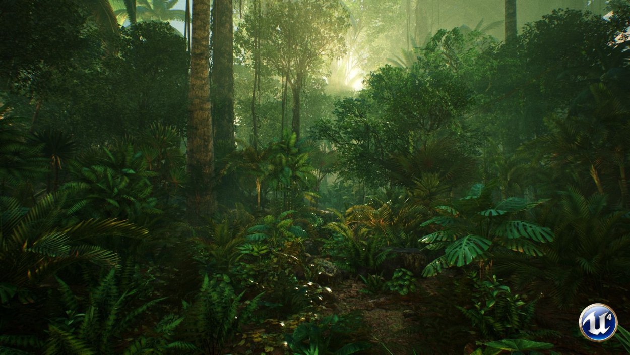 Джунгли референс