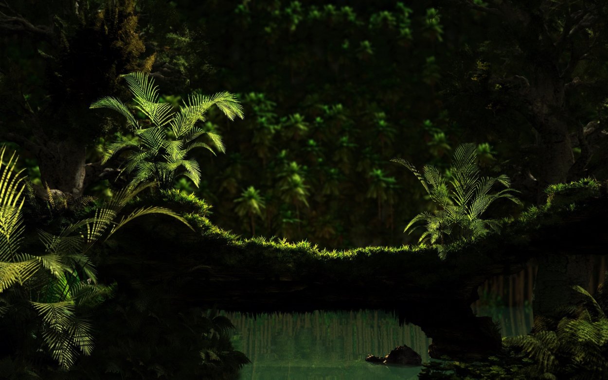 Джунгли фон