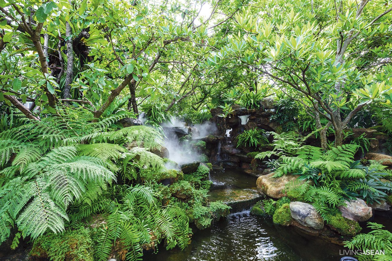 Звуки джунглей и тропических лесов