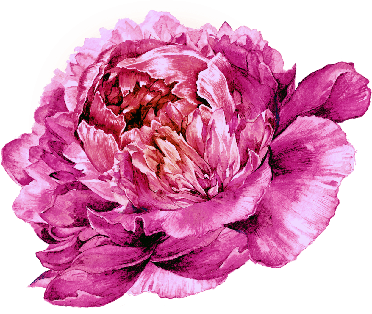 Кэти Уиппл художник