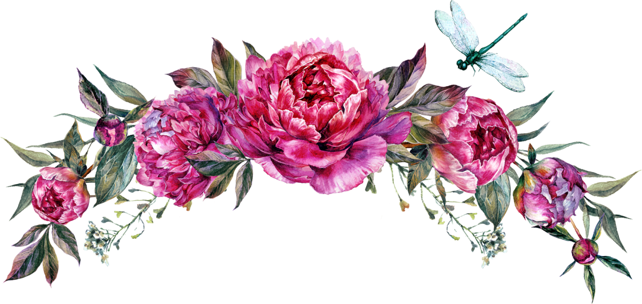 Акварельные пионы вектор