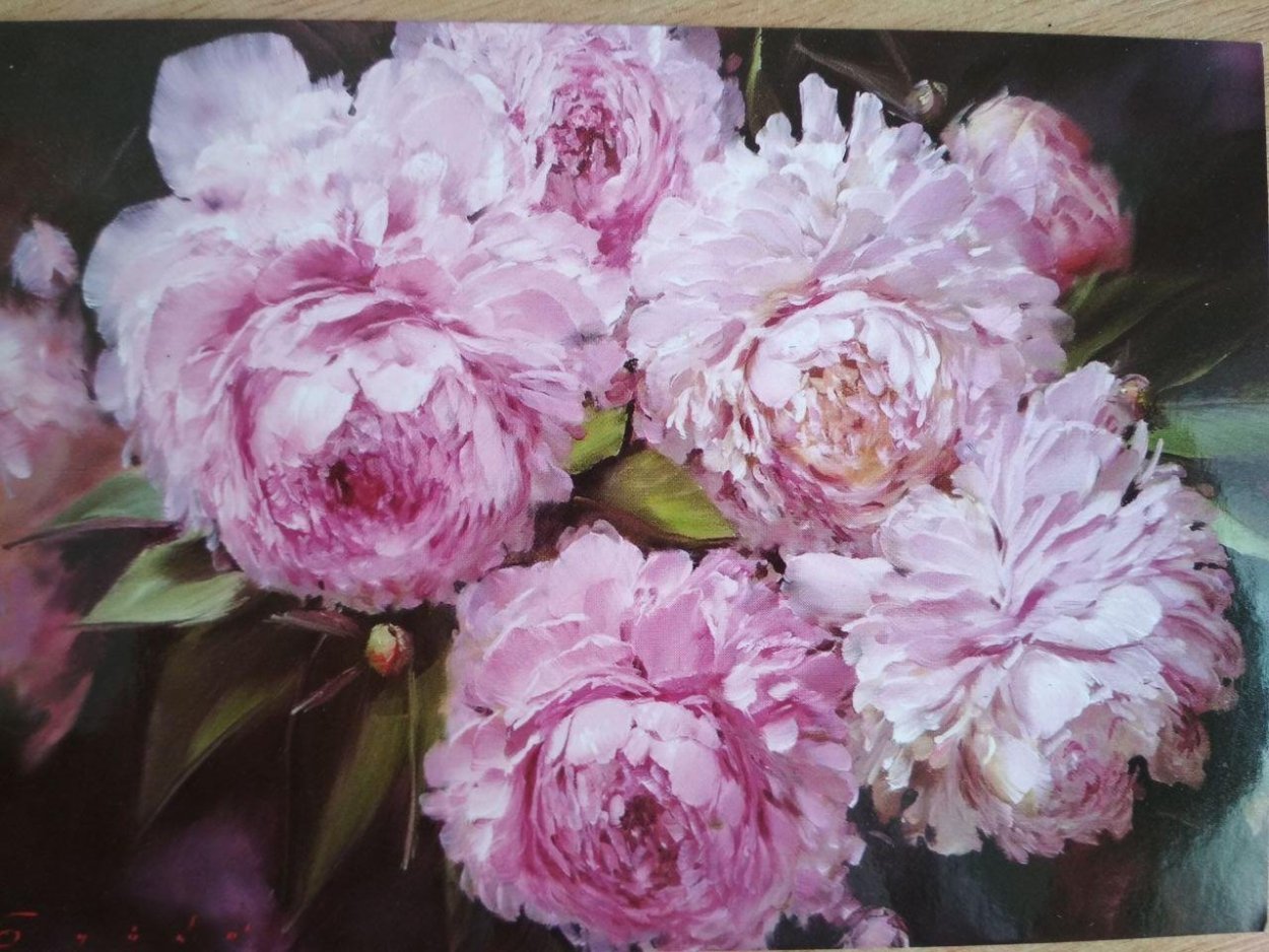 Пионы фуксия акварелью