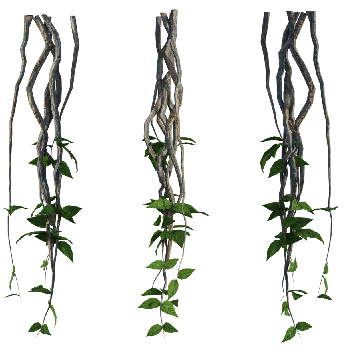 Стронгилодон красный