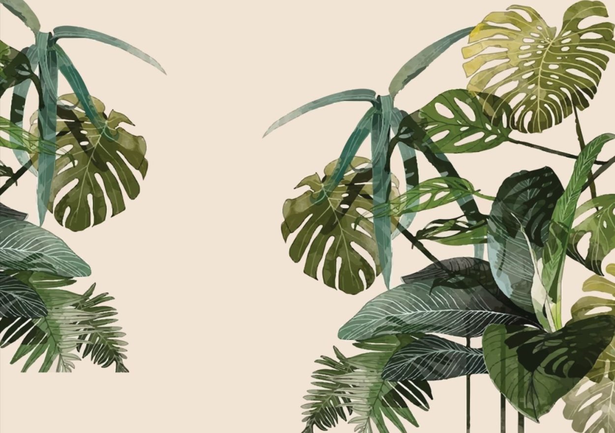 Золотой папоротник монстера