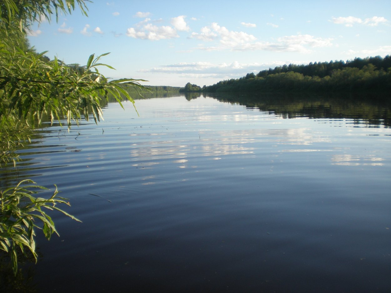 Река Ветлуга Нижегородская область Исток