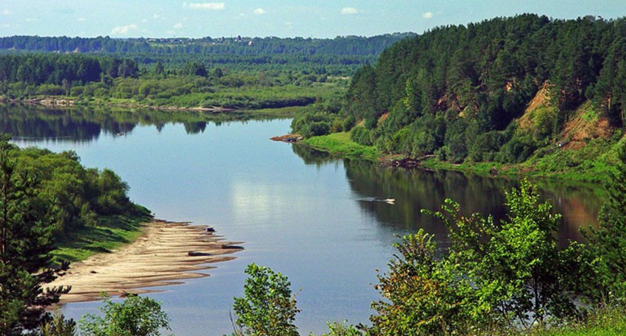 Берег реки Ветлуга