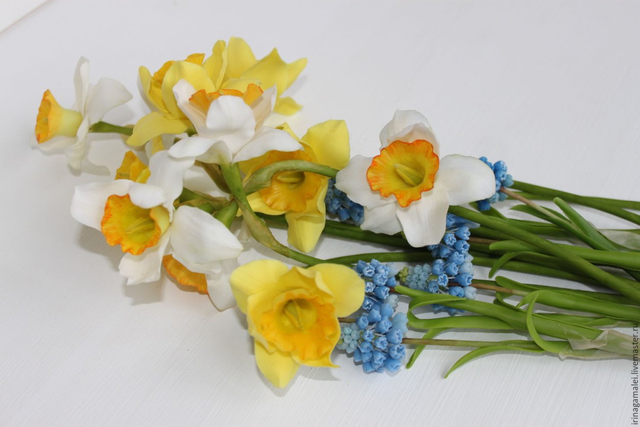 Крокус, тюльпан, гиацинт, Нарцисс, рябчик