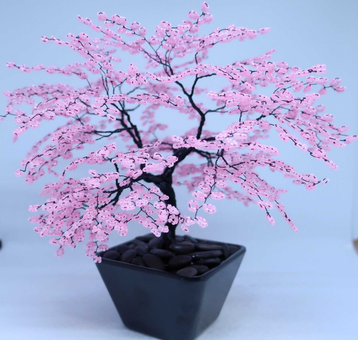 Дерево бонсай Сакура