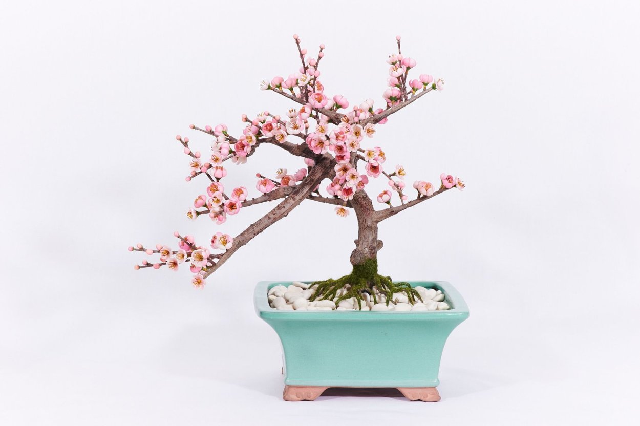 Искусственный бонсай Сакура