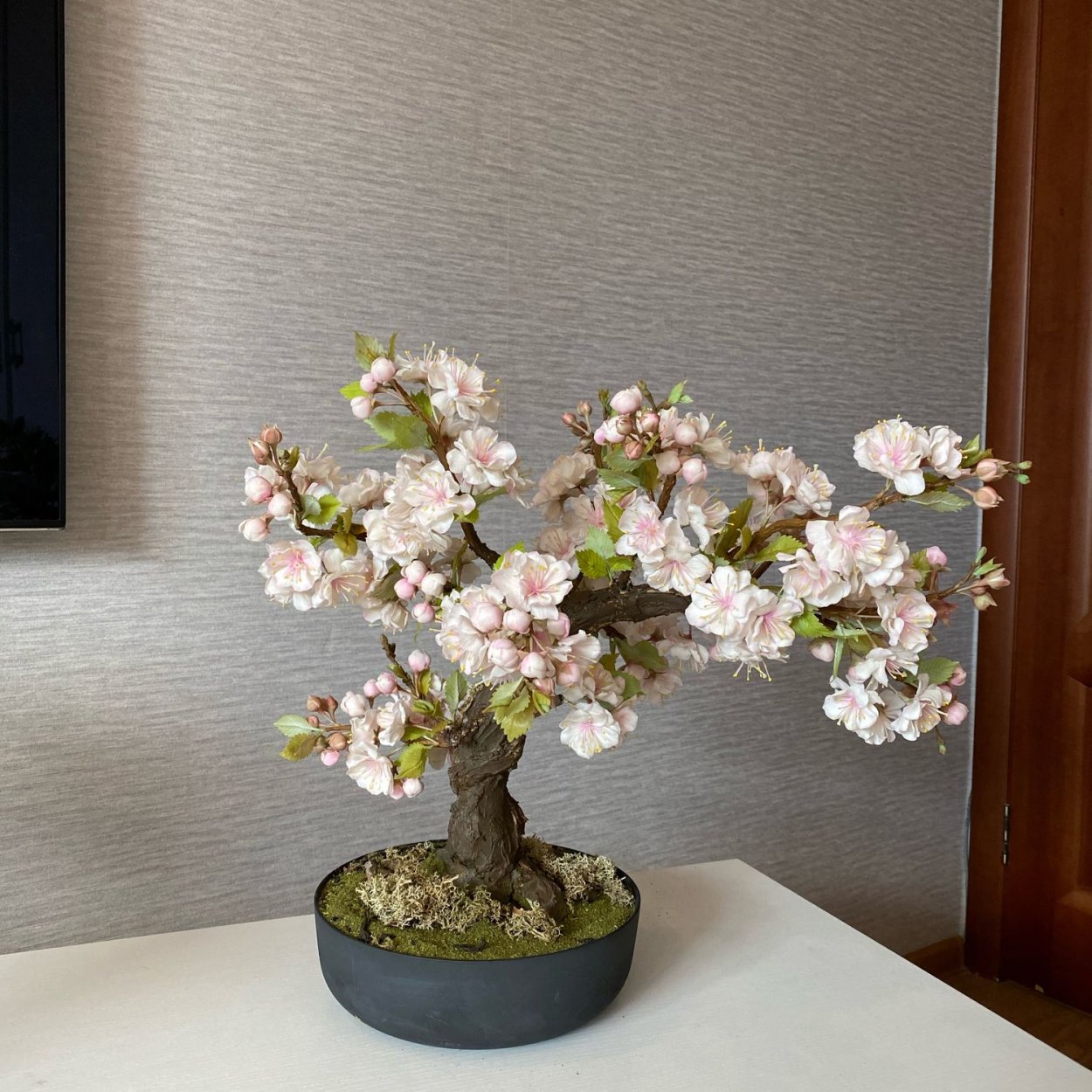 Бонсай Сакура