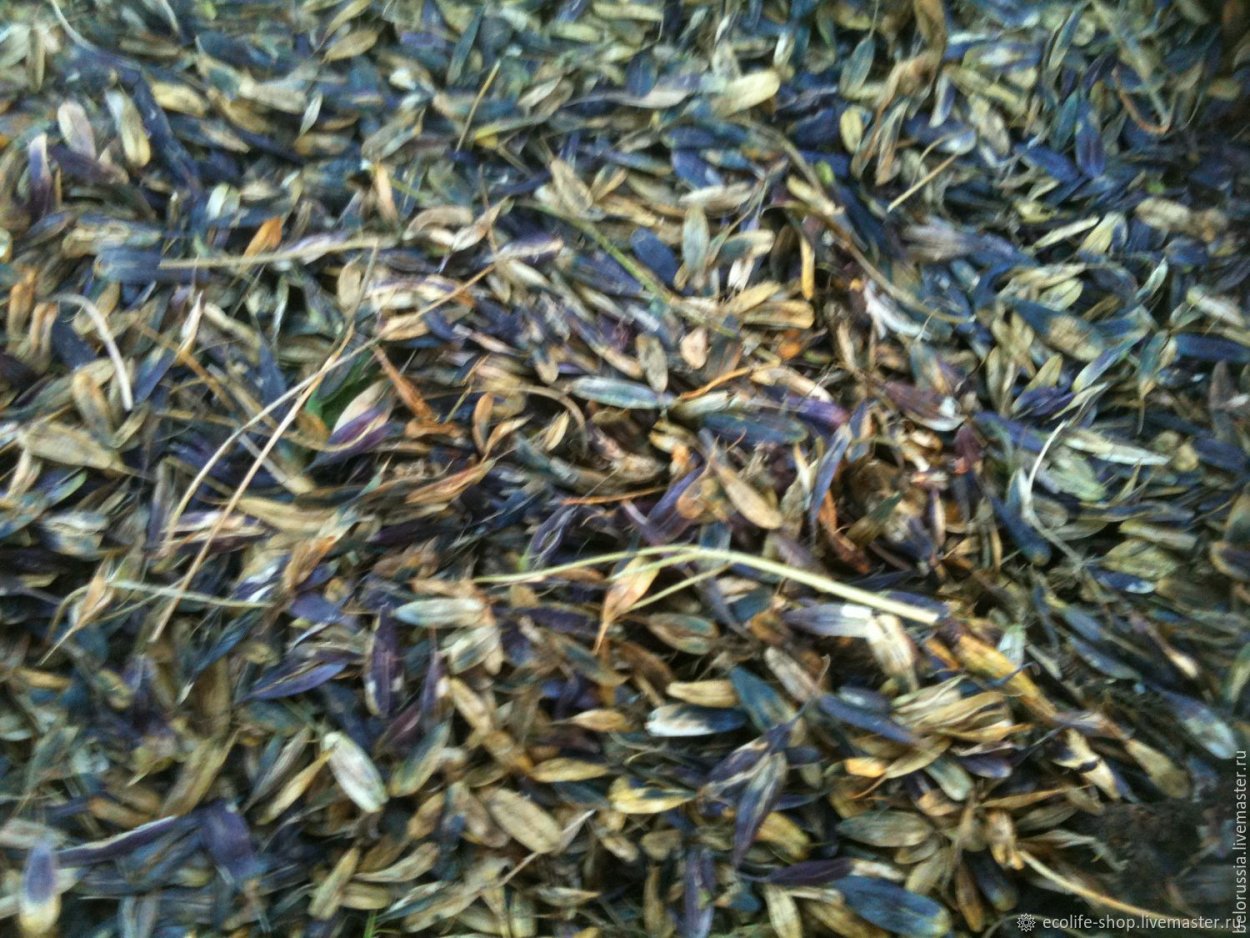 Куртахои точики фасон 2022