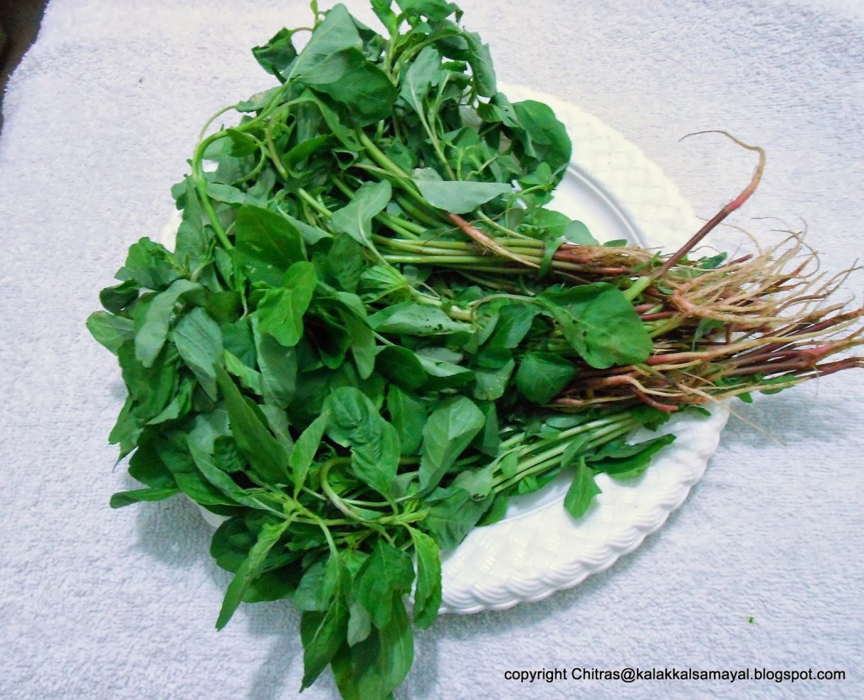 Травы от боли в желудке