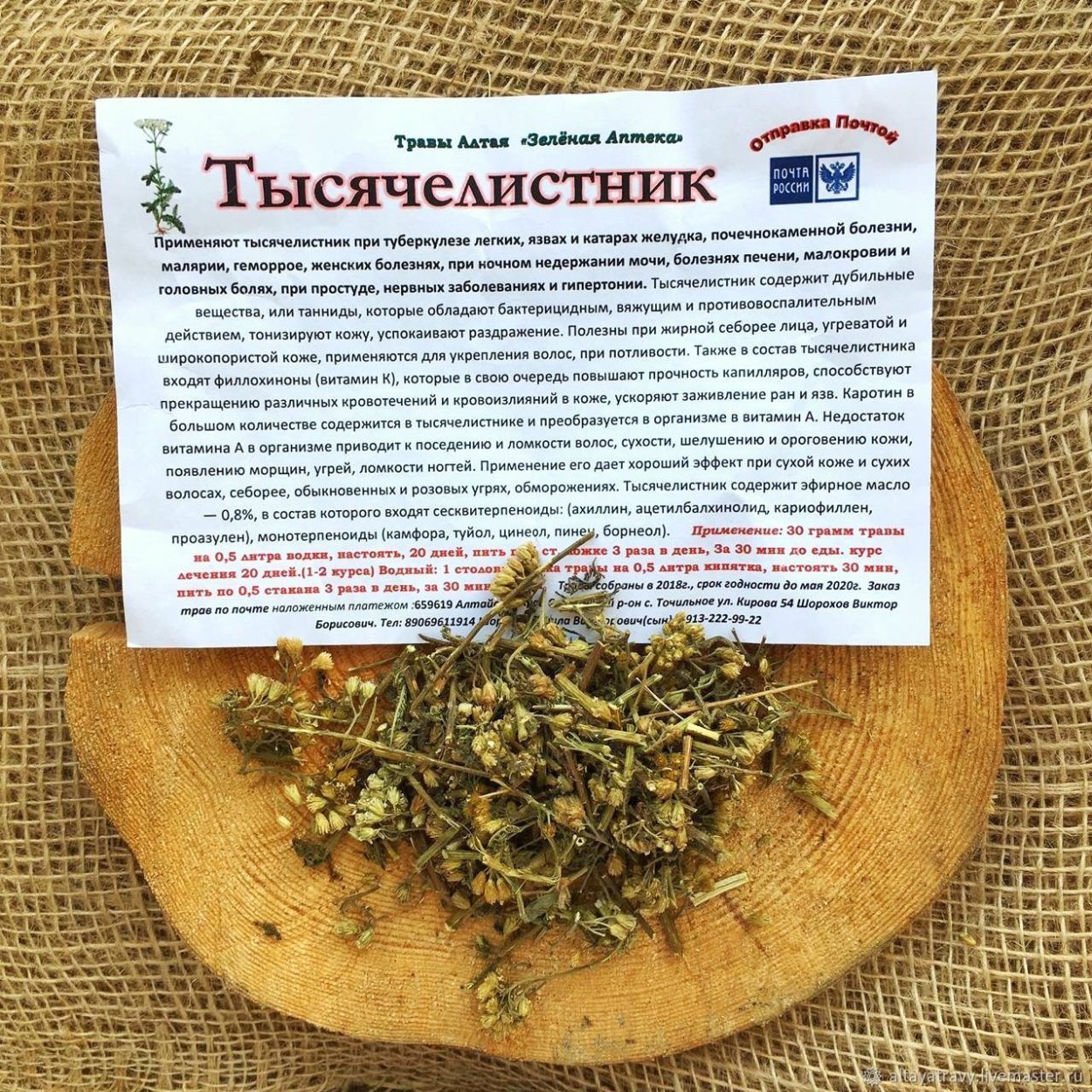 Настя узбек