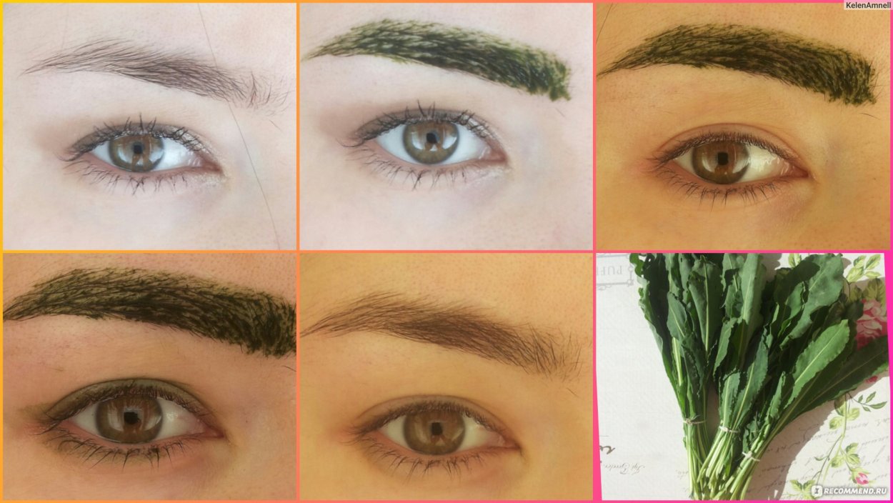 Съедобная зелень