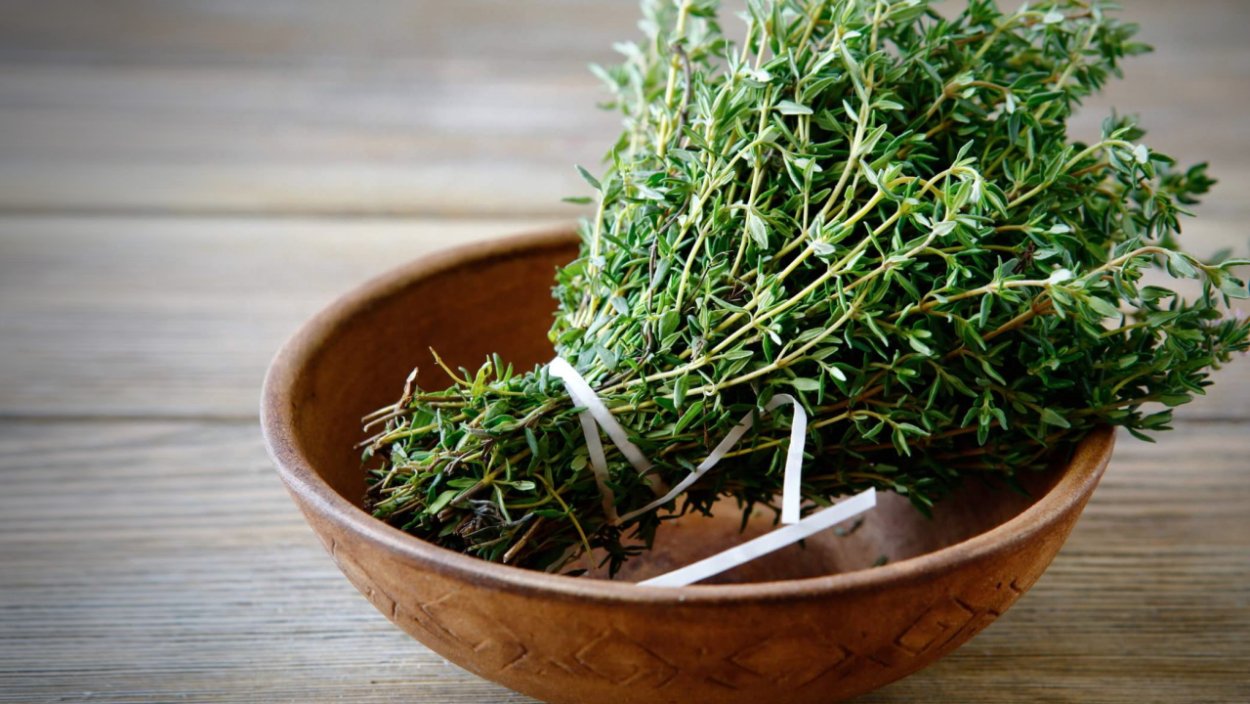 Чабрец Оленья трава