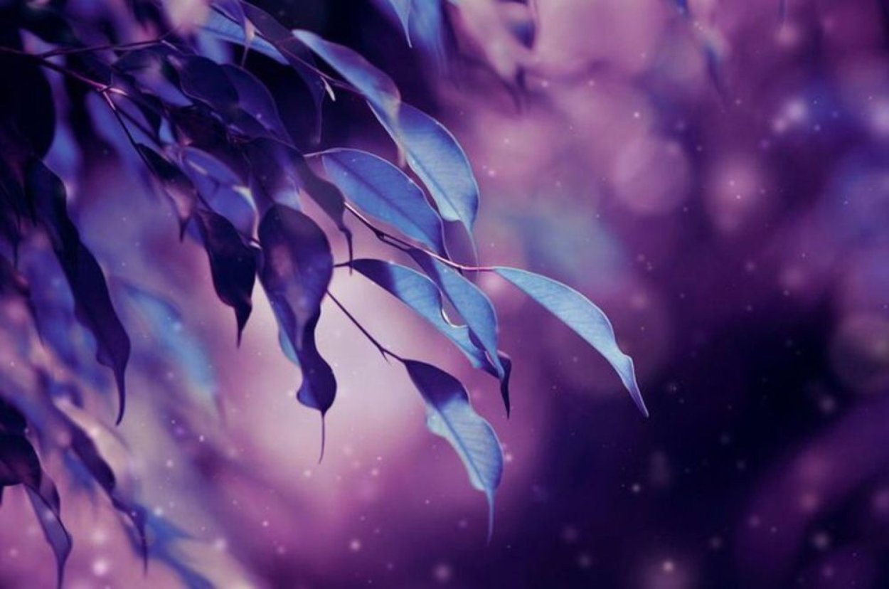 Макросъемка природа