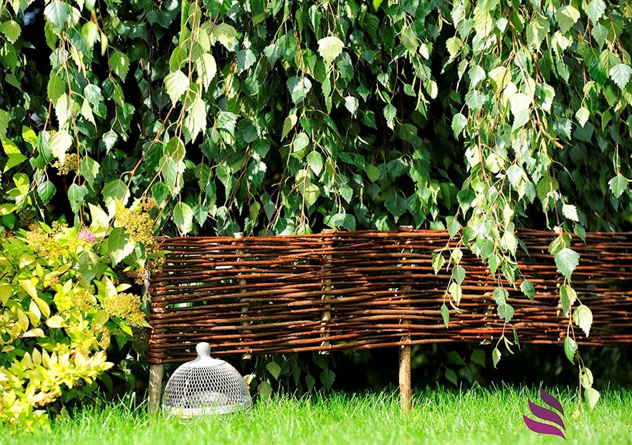 Изгородь из орешника