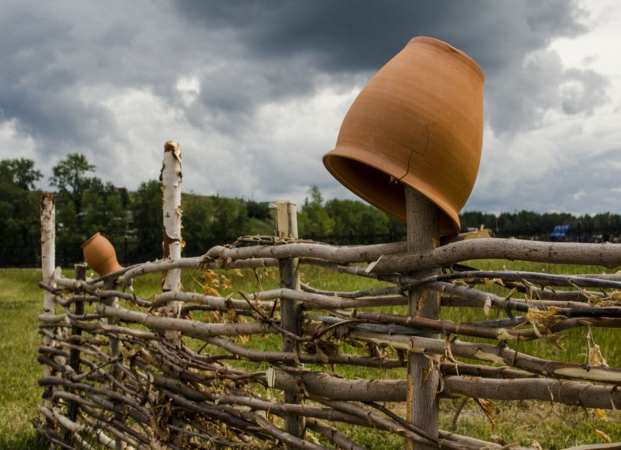 Деревенский плетень