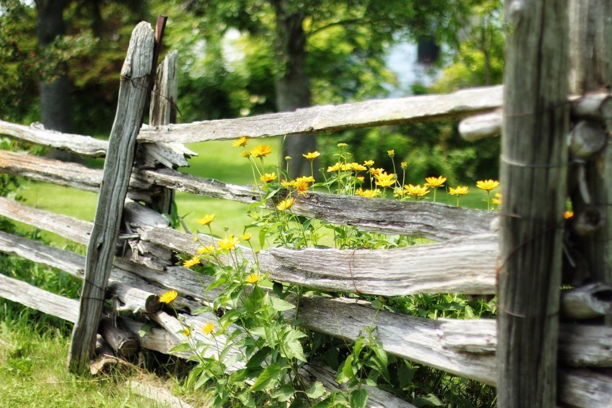 Старый забор в деревне
