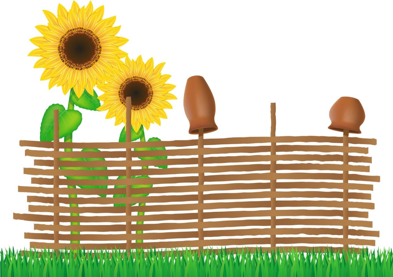 Плетень с подсолнухами