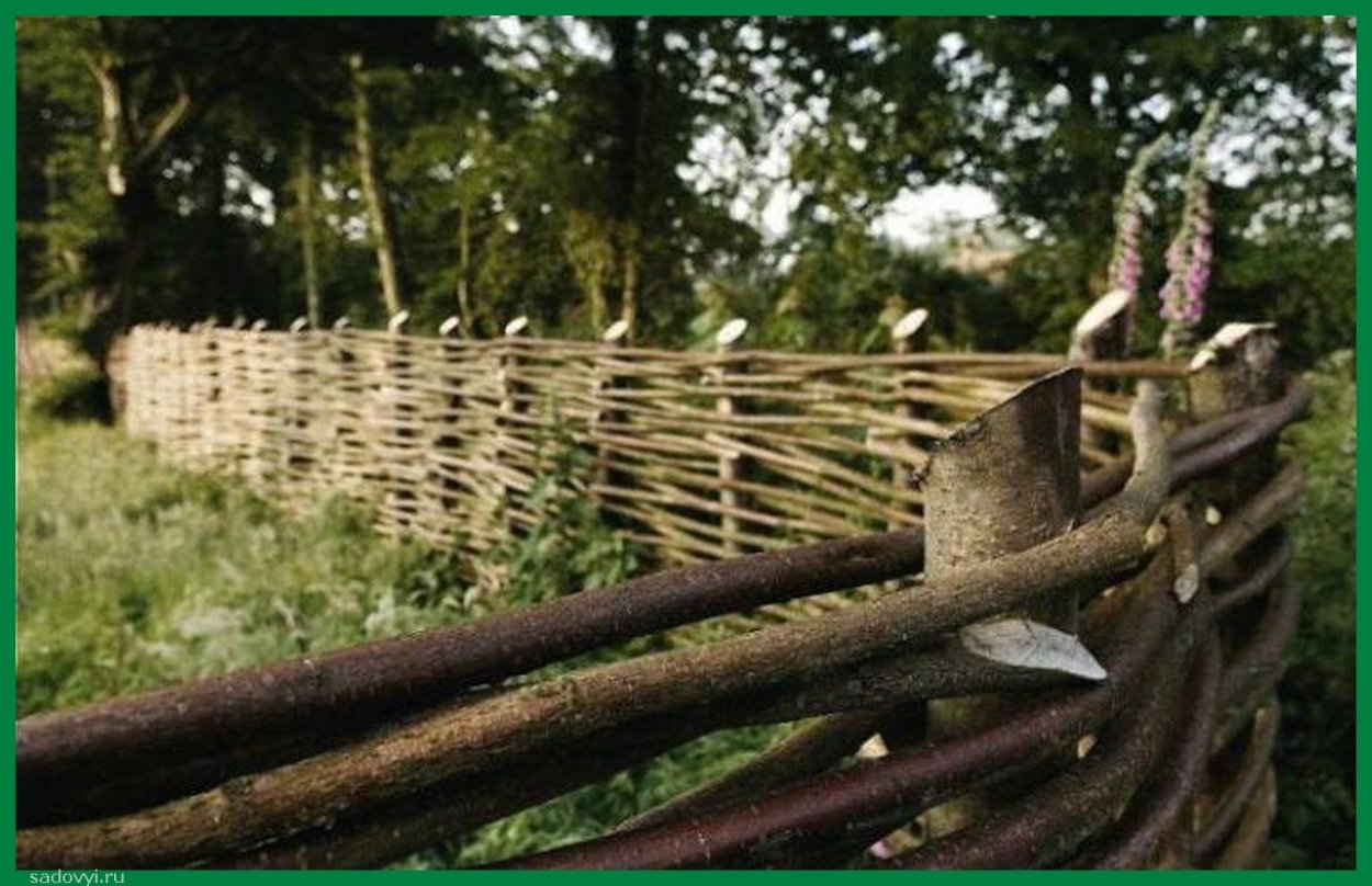 Забор плетень из ивы