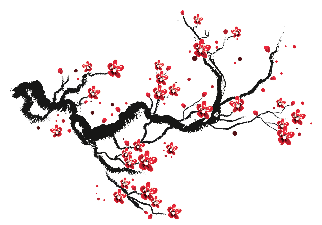 Ветка Сакуры на белом фоне