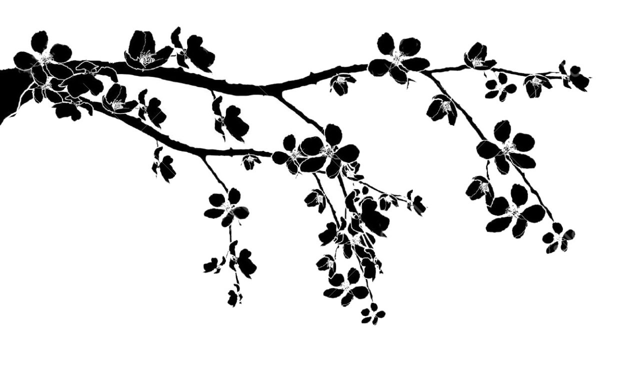 Ветка Сакуры вектор черно белый
