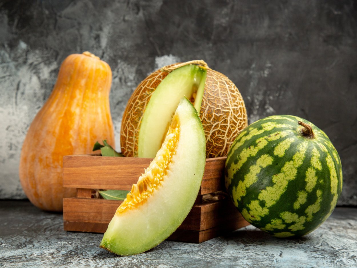 Арбуз дыня плод