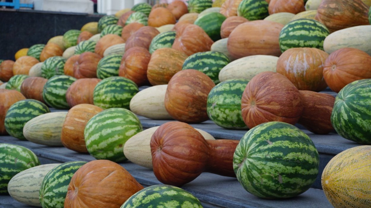 Тыквы и арбузы