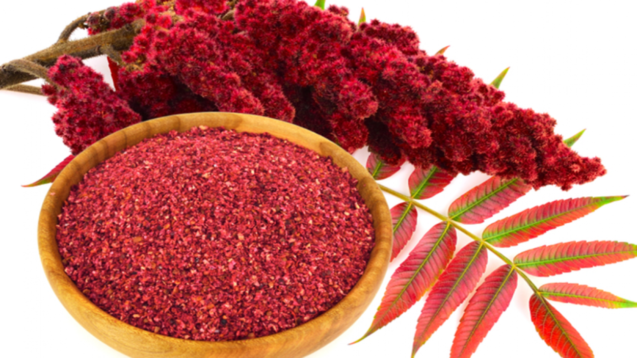 Анис (бадьян)