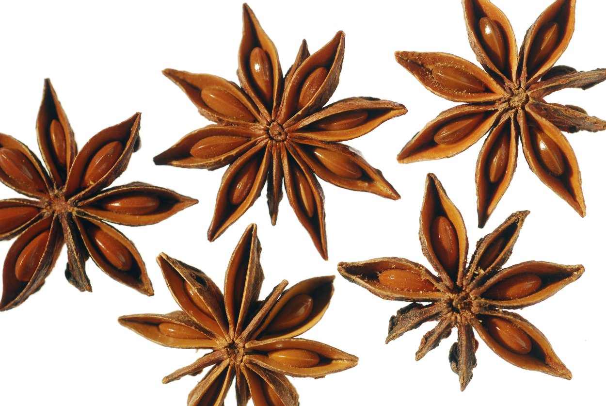 Бадьян звездчатый семена