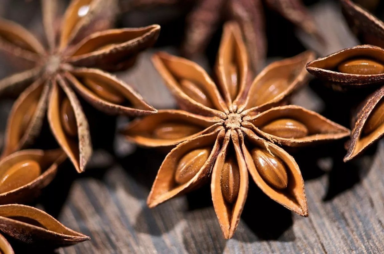 Коричневые цветы