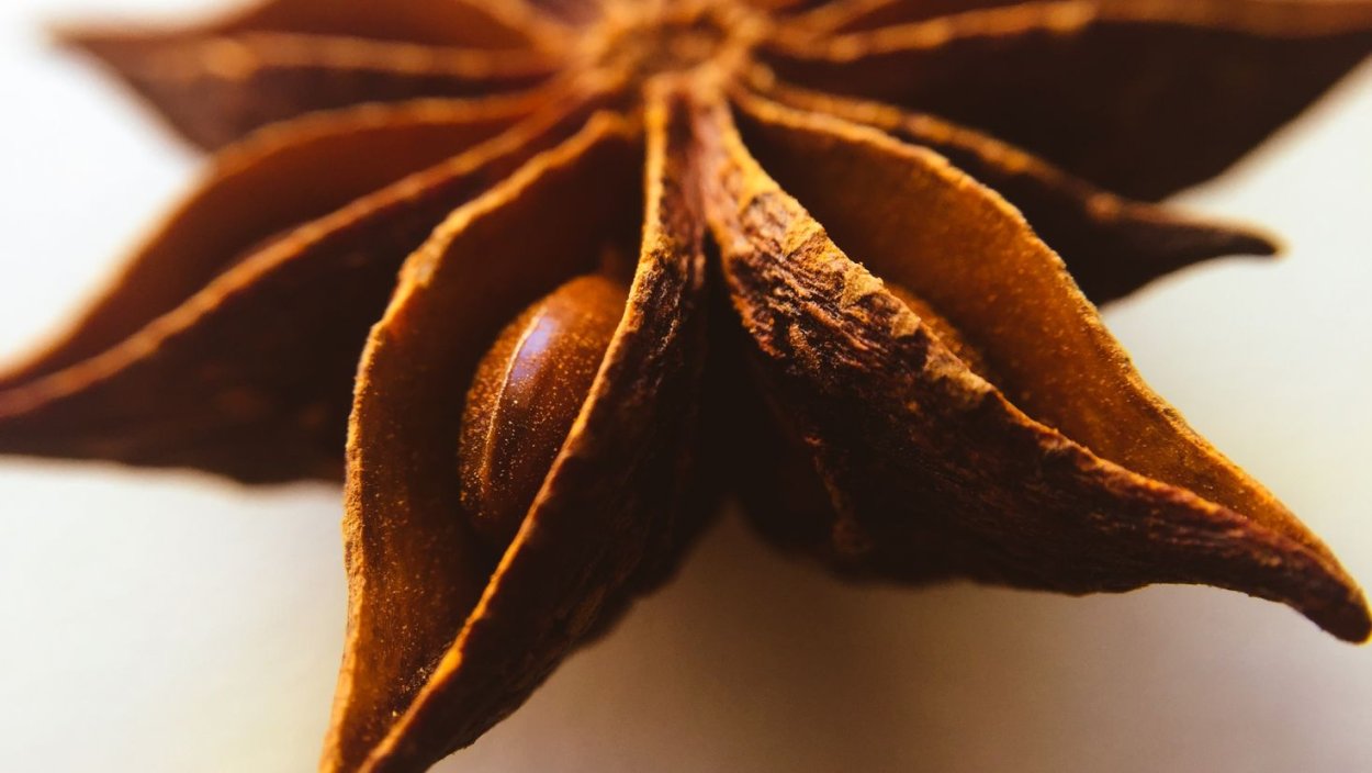 Бадьян - ани́с звёздчатый