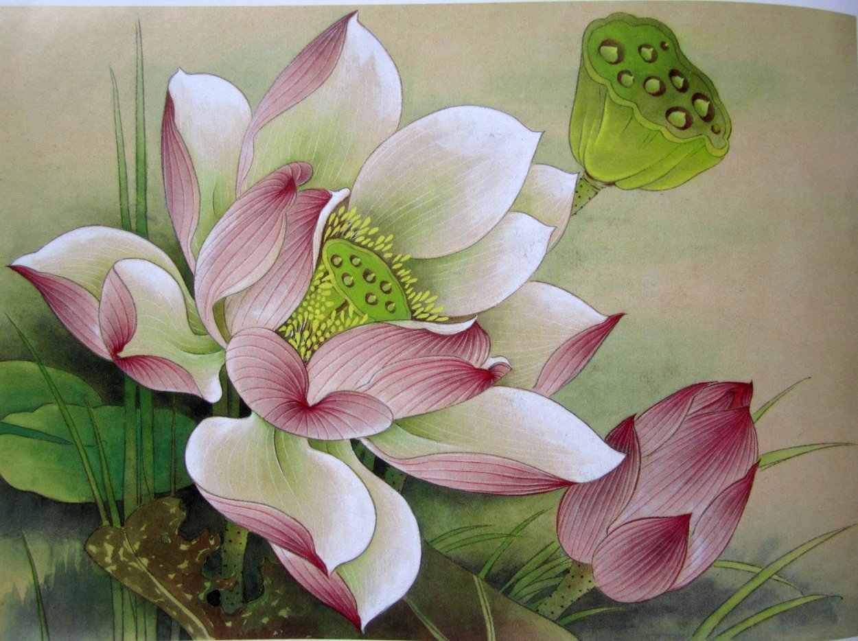Китайская живопись Лотосы кувшинки