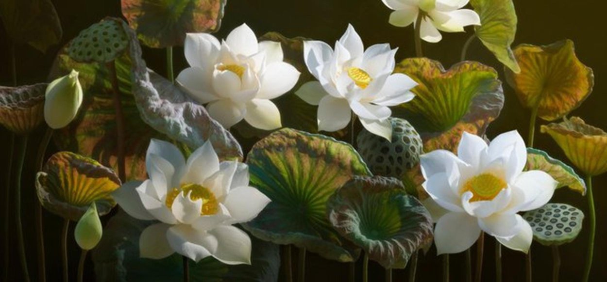 Duong Quoc dinh Лотосы