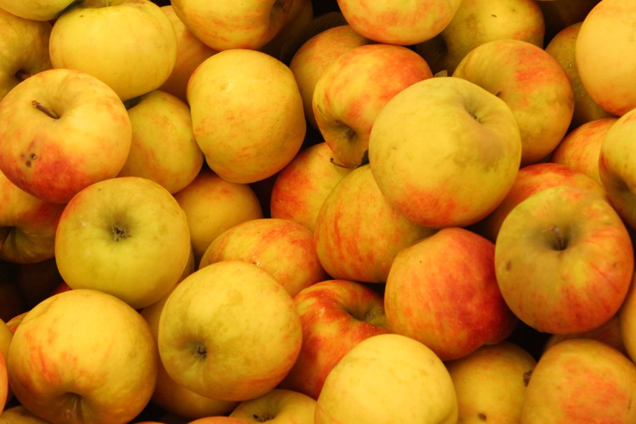 Яблоко на белом фоне для детей