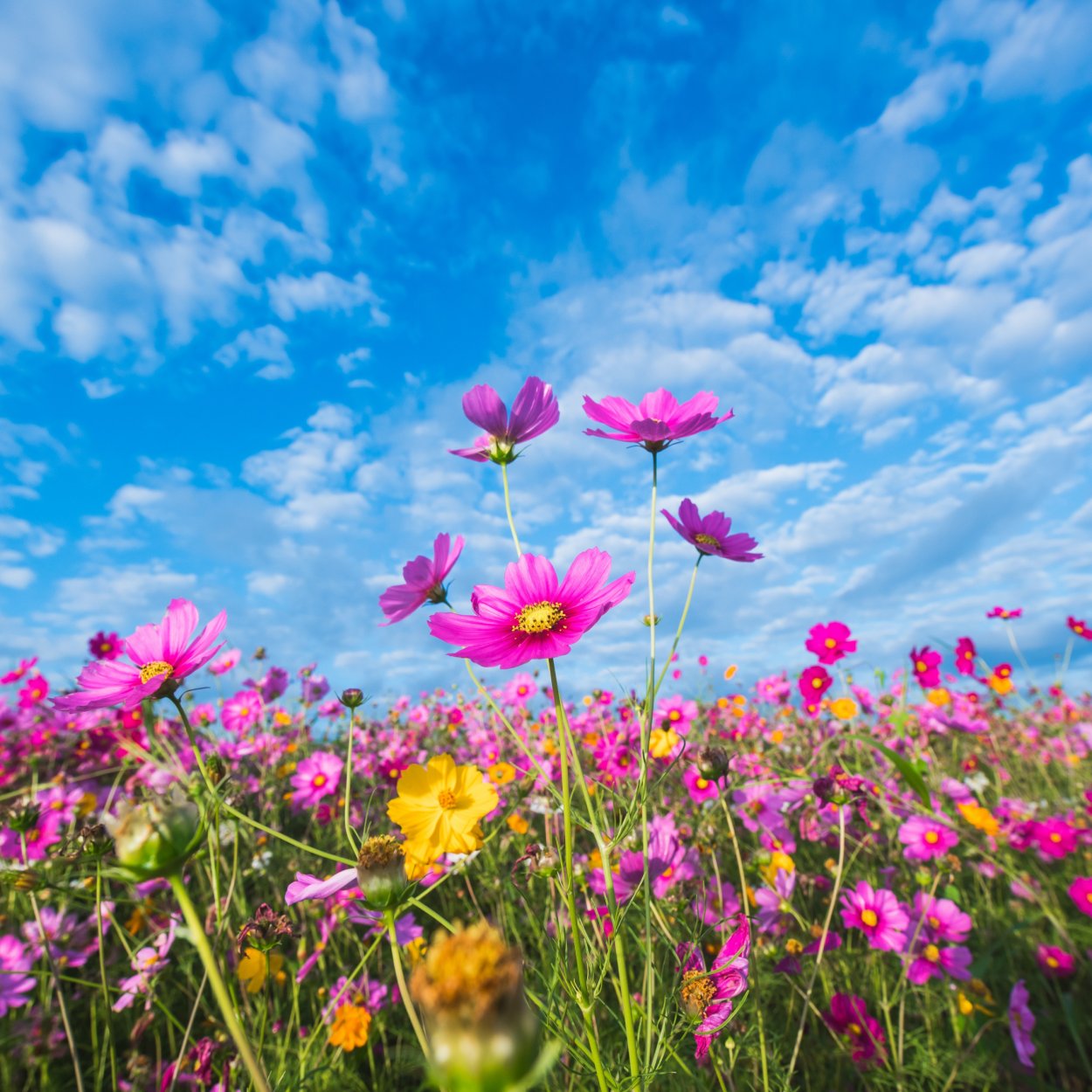 Красивая природа рассвет