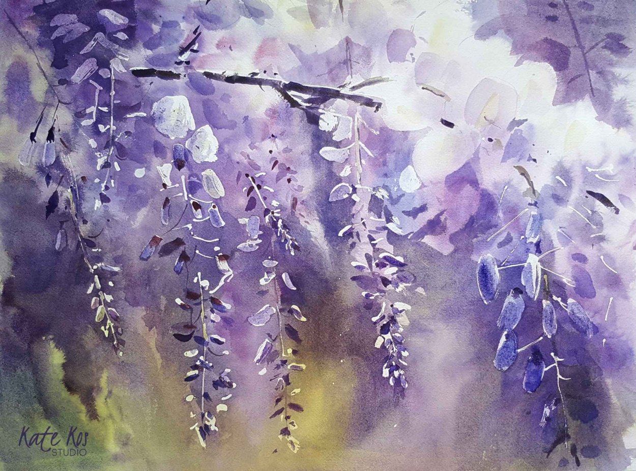 Глициния акварель