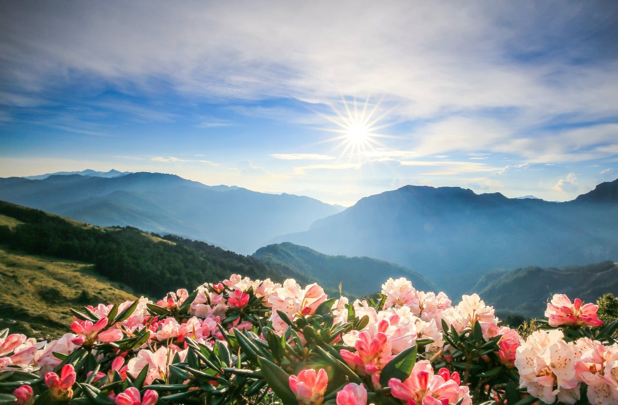 Солнце летом