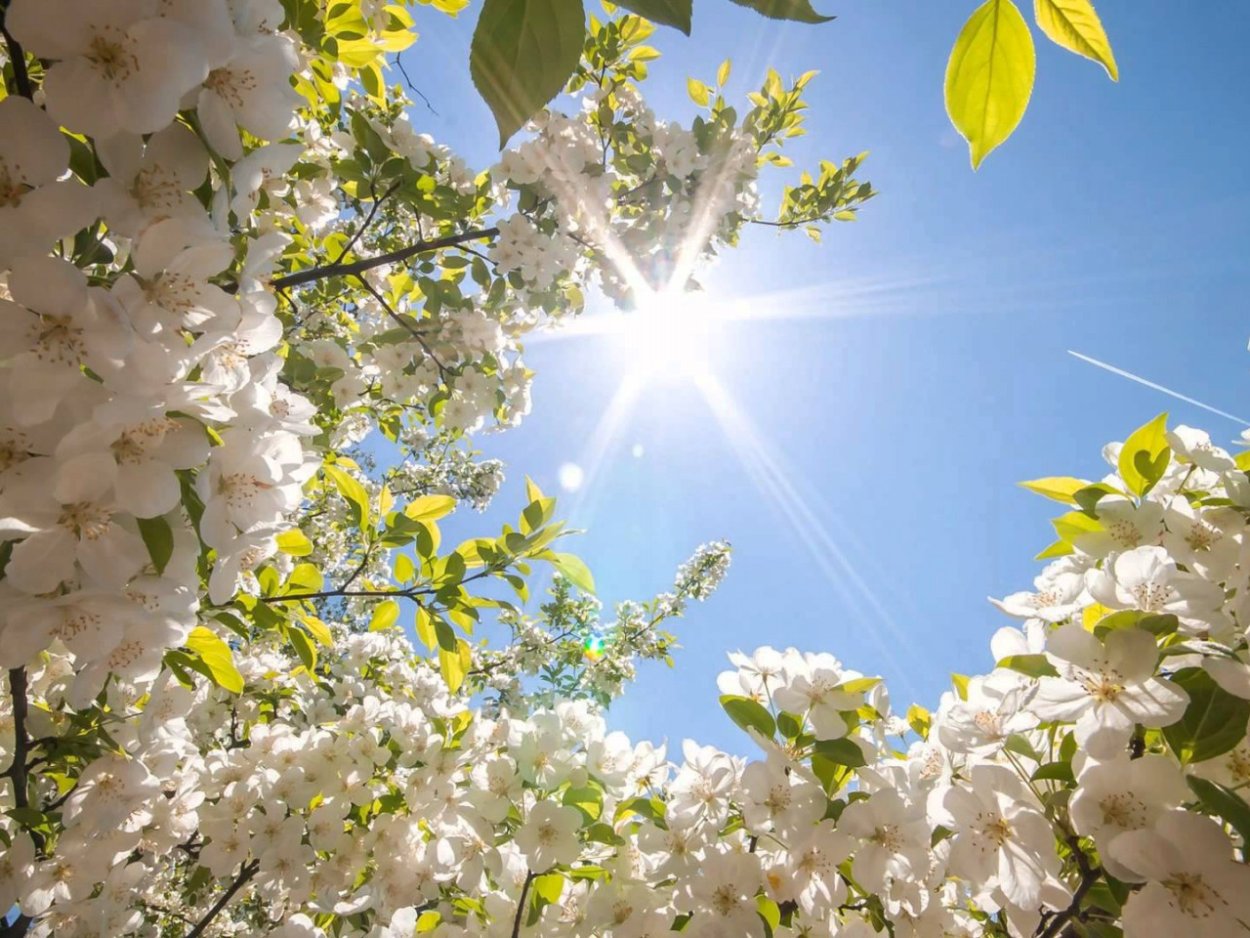 Красивый рассвет