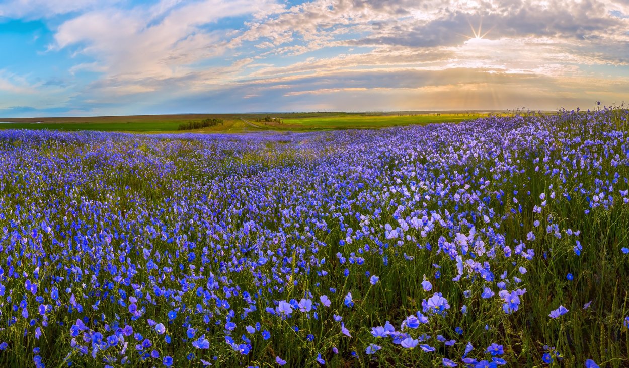 Ставрополь степи