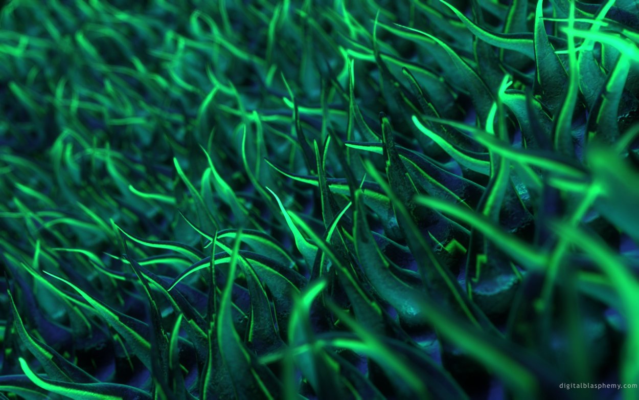 Темно зеленые водоросли